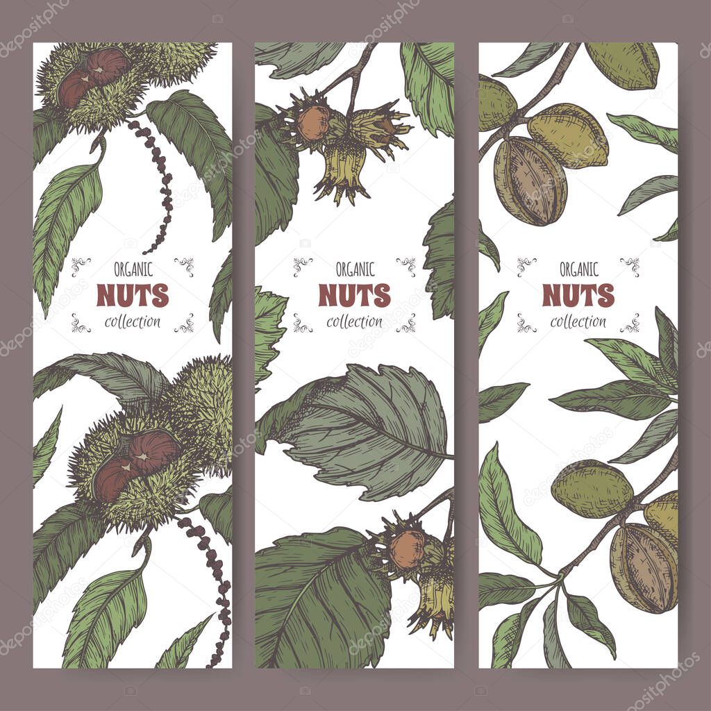 Set of three color labels with sweet chestnut, common hazel and almond branch and nuts sketch. Culinary nuts series.