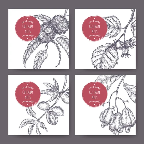 Set of four labels with sweet chestnut, common hazel, almond and cashew branch and nuts sketch. Culinary nuts series. — Image vectorielle