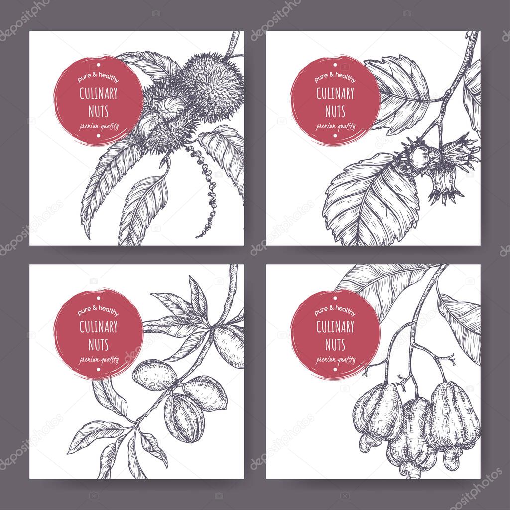 Set of four labels with sweet chestnut, common hazel, almond and cashew branch and nuts sketch. Culinary nuts series.