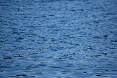Konsept: sakin deniz manzarası, dalgalar, sükunet, şeffaf ve rahatlatıcı. Çevre