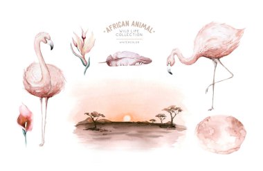 El yapımı flamingo suluboya tropikal kuş seti flamingo. Egzotik kuş çizimleri, orman ağacı, Brezilya modası sanatı. Kumaş tasarımı için mükemmel. Aloha koleksiyonu.