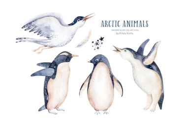 Beautiful watercolor illustration of three penguins. Hand drawn image of antarctic birds. Isolated objects on white background