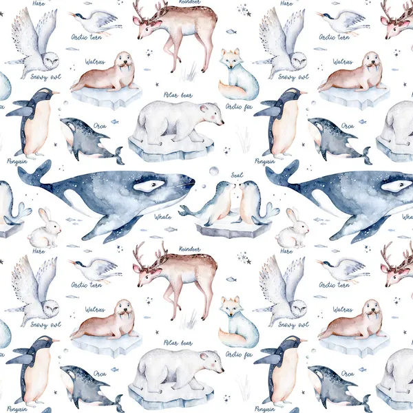 Polární Zvířata Akvarel Kolekce Zasněžená Sova Sobi Lední Medvěd Liška — Stock fotografie