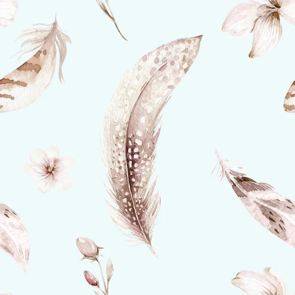 Watercolor Floral Vintage Seamless Pattern Feathers Watercolor Illustration — Stock Photo, Image