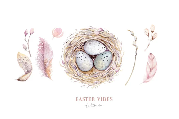 Nido Pascua Acuarela Con Huevos Pájaro Con Rama Pluma Primavera —  Fotos de Stock