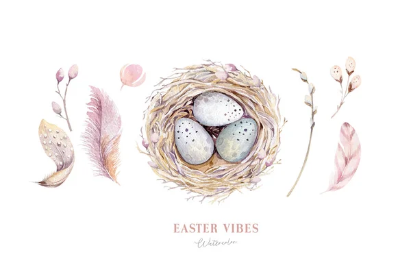 Aquarell Glückliches Osternest Mit Vogeleiern Mit Zweig Und Feder Frühling — Stockfoto