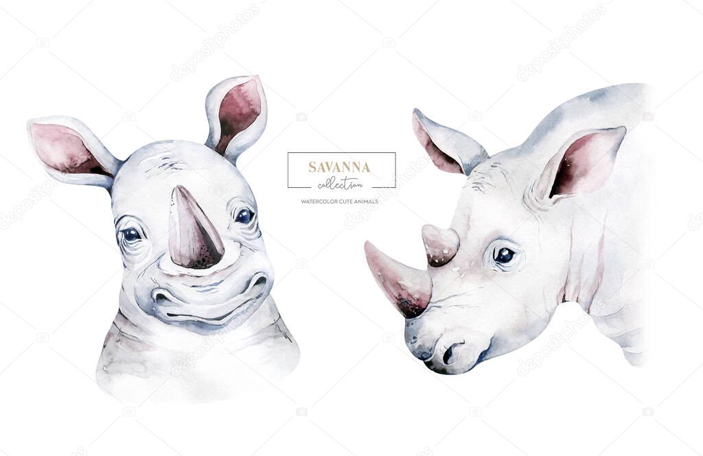 Africa watercolor savanna rhino animal. African Safari cute animals portrait.Perfect for wallpaper print, packaging ,invitations, wedding design