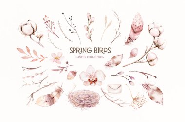 Collection small cute birds in vintage watercolor style. illustration with colorful flowers on branches tree.