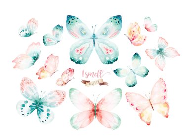 Set of watercolor butterfly. Vintage summer isolated spring art. Watercolour illustration. design wedding card, insect, flower beauty banner. Unusual popular decoration.