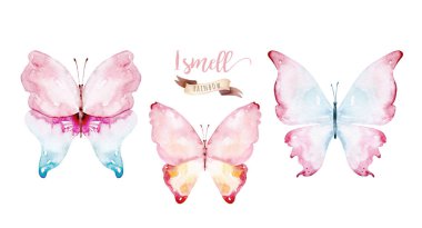 Beyaz arka planda izole edilmiş suluboya renkli kelebekler. Mavi, sarı, pembe ve kırmızı kelebek bahar çizimi.