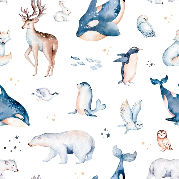 Polar Animals Watercolor Collections Snowy Owl Reindeer Polar Bear Fox — Stock Photo, Image