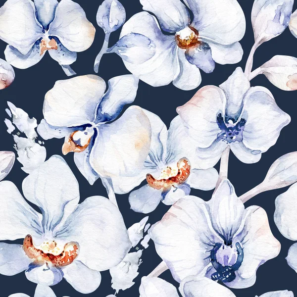 Set Von Aquarell Illustration Tropische Orchidee Isolierte Illustration Exotische Blütenblume — Stockfoto