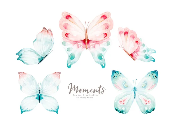 Watercolor colorful butterflies, isolated on white background. blue, yellow, pink and red butterfly spring illustration.