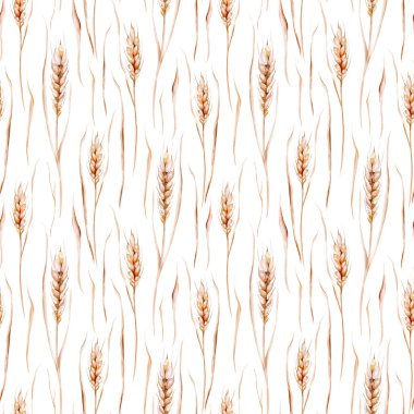 Watercolor wildflowers seamless pattern with poppy, cornflower chamomile, rye and wheat spikelets background.