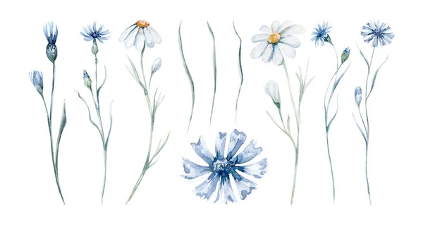 Watercolor Wildflowers Seamless Pattern Poppy Cornflower Chamomile Rye Wheat Spikelets — Stock Fotó