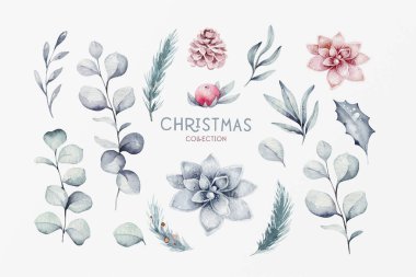 Çiçek elemanları ile Mutlu Noel suluboya ayarlayın. Mutlu yıllar hediye kutuları, kar taneleri, çilek. Kış çiçekleri, hediyelik eşya ve dal buketleri dekorasyon