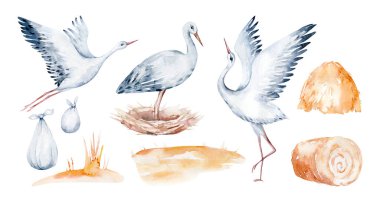 Watercolor stork bird and wildflowers with poppy, cornflower chamomile, rye and wheat spikelets . Wedding and baby shower invitation.