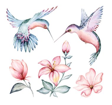 Tropical watercolor birds hummingbird, monkey and jaguar, exotic jungle plants leaves flowers, flamingo pastel color seamless fabric background.
