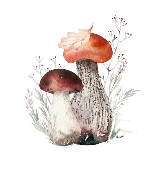 Aquarell Illustration Mit Pilzen Zweigen Blättern Und Beeren Set Von — Stockfoto