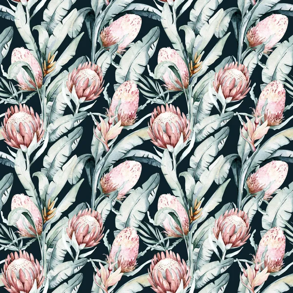 Protea Fleur Motif Sans Couture Feuilles Tropicales Aquarelle Illustration Peinte — Photo