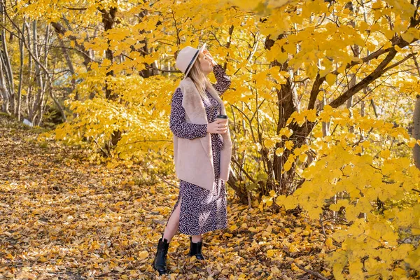 ファッショナブルな服を着た美しい女性と秋に自然コーヒーを飲む — ストック写真