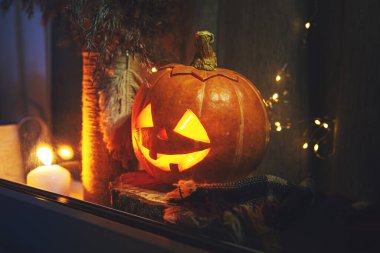 Oyulmuş balkabağı pencereden dışarı bakıyor. Jack Lantern, Cadılar Bayramı konsepti. 