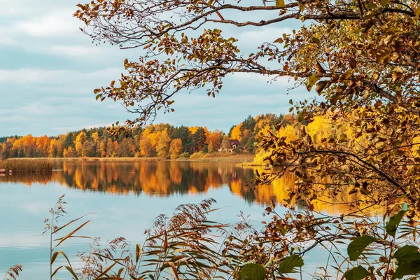 Lago Del Bosque Otoño Colorido Paisaje Otoñal Tranquilidad Viajes —  Fotos de Stock