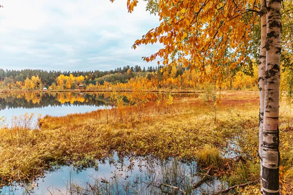 秋の森の湖 カラフルな秋の風景 静けさ — ストック写真