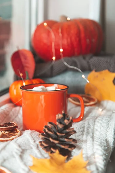 秋天舒适的构图 一杯可可 秋天的叶子和编织毛毯在窗台上 闷热的家的心情 有选择的重点 — 图库照片