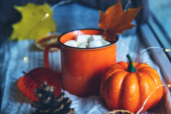 Осенняя Уютная Композиция Чашка Какао Тыква Осенние Листья Вязаное Одеяло — стоковое фото