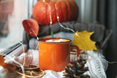 Sonbahar kompozisyonu. Bir fincan kakao, balkabağı, sonbahar yaprakları ve pencere pervazında örülmüş bir battaniye. Autumn, Hygge ev modunda. Seçici odak.