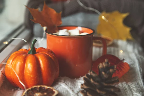 Herbst Gemütliche Komposition Kakao Kürbis Herbstblätter Und Eine Gestrickte Decke — Stockfoto