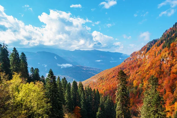 Krásná Podzimní Horská Krajina Horní Pohled Barevné Stromy Kavkazských Horách — Stock fotografie