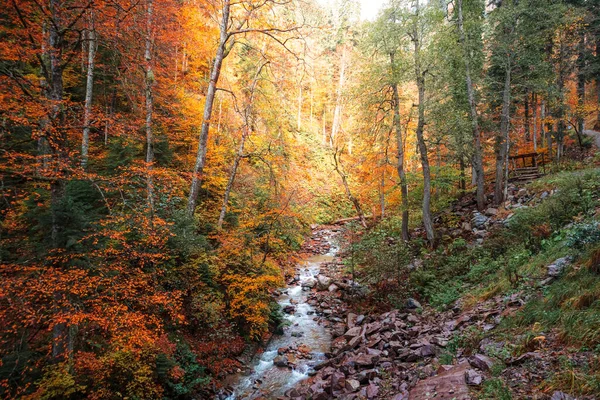 森林の滝と秋の風景 コーカサス山脈の美しい秋 — ストック写真
