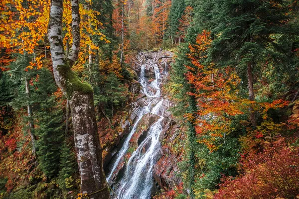 Autumn Landscape Forest Waterfall Beautiful Bright Autumn Caucasus Mountains — Stock Photo, Image