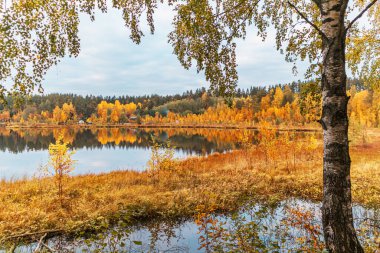 Sonbaharda Forest Gölü. Renkli sonbahar manzarası, sükunet, seyahat. 