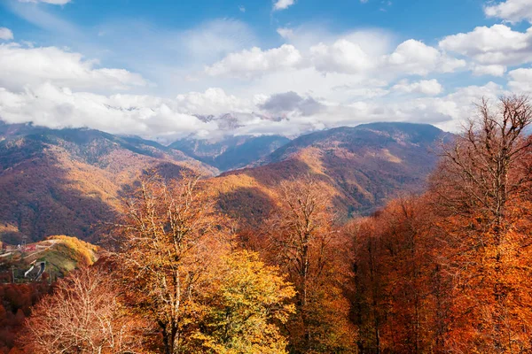 Krásná Podzimní Horská Krajina Horní Pohled Barevné Stromy Kavkazských Horách — Stock fotografie