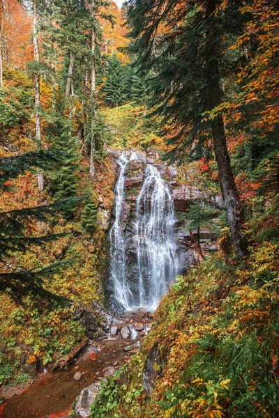 森林の滝と秋の風景 コーカサス山脈の美しい秋 — ストック写真