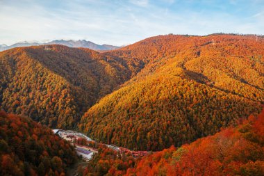 Güzel sonbahar dağ manzarası. Kafkas dağlarındaki renkli ağaçların en üst görüntüsü. 