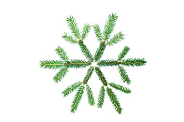 Spruce dalları bir kar tanesi şeklinde serilmiştir. Noel 'in, kışın ve yeni yılın sembolü. Beyazda izole edilmiş.
