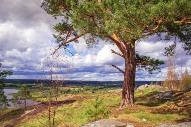 Dağdan Karelia 'daki körfeze kadar manzara çok güzel. Kuzey doğası. Rusya 'da seyahat. 