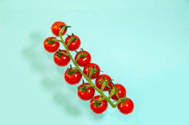 Açık mavi arkaplanda sulu kırmızı kiraz domatesleri. Gıda arkaplanı.