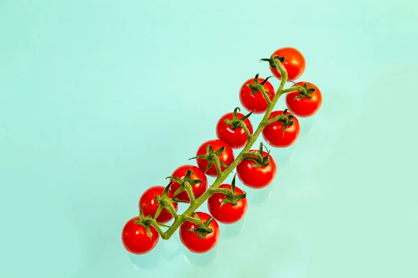 Ένα Κλαδί Από Ζουμερά Κόκκινα Ντοματίνια Γαλάζιο Φόντο Ιστορικό Τροφίμων — Φωτογραφία Αρχείου