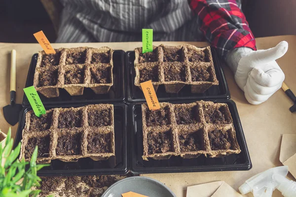 Les Mains Femme Plantent Des Graines Maison Jardinage Domicile Loisirs — Photo