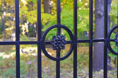 Sonbaharda şehir parkında eski bir çit, Moskova, Rusya