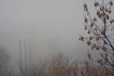 Sabahları sokaklarda yoğun sis var, Moskova, Rusya