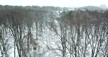 Kasabanın yakınlarındaki karlı bir kış ormanında insansız hava aracı görüntüsü. Kışın kar yağışı.