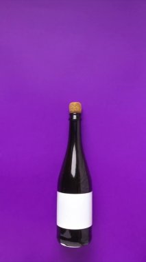 İçinde peri tozu olan şampanya şişesi.