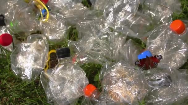 Schöner Schmetterling auf einem Haufen Plastikflaschen — Stockvideo