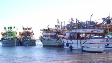 Limanda bir sürü balıkçı teknesi var.